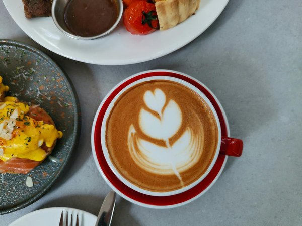 La Révolution Vegan dans le Dressing Masculin : Le Style Eco-Responsable en Plein Essor